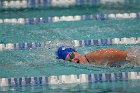 Swim vs Bentley  Wheaton College Swimming & Diving vs Bentley University. - Photo by Keith Nordstrom : Wheaton, Swimming & Diving